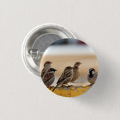 Sparrows Ronde Button 3,2 Cm (Voorkant /achterkant)