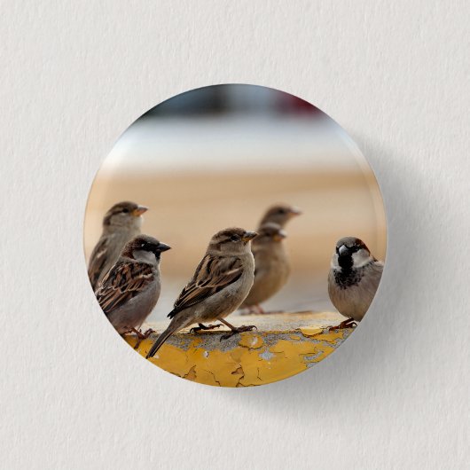 Sparrows Ronde Button 3,2 Cm (Voorkant)