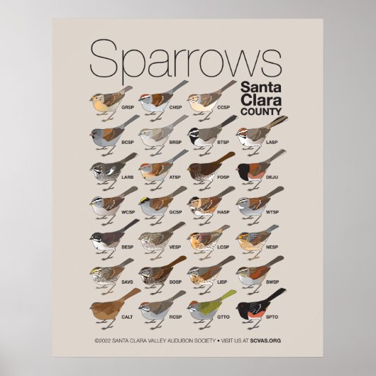 Sparrows van Santa Clara Poster (Voorkant)