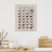 Sparrows van Santa Clara Poster (Keuken)