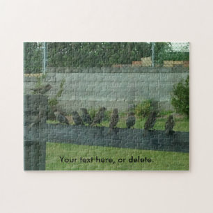 Sparrows Vogels op een rail je woorden puzzels