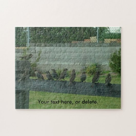 Sparrows Vogels op een rail je woorden puzzels (Horizontaal)