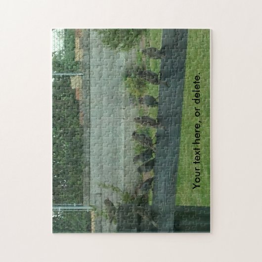 Sparrows Vogels op een rail je woorden puzzels (Verticaal)