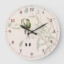 Spathura Peruana Hummingbirds by John Gould Grote Klok