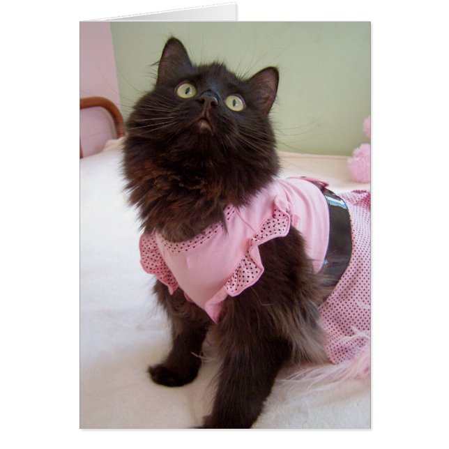 spatie voor bericht (Voorkant)