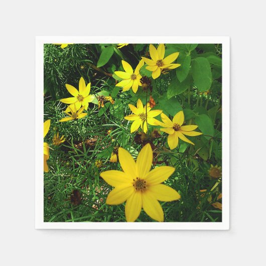 SPATJE LENTE servet (Voorkant)