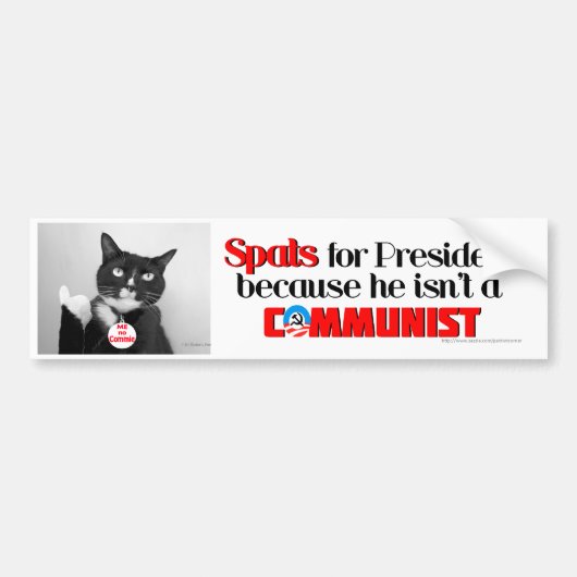 spatten, geen kat voor President-bumpersticker Bumpersticker (Voorkant)