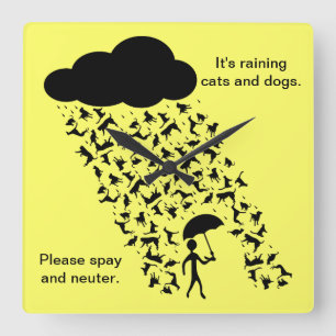 "Spay and Neuter" wandklok