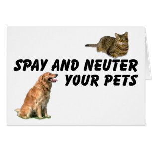 Spay en Neuter