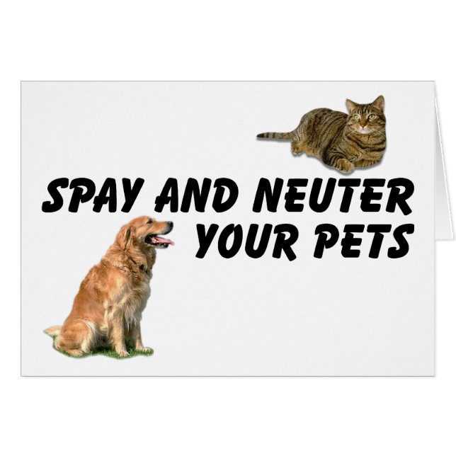 Spay en Neuter (Voorkant Horizontaal)