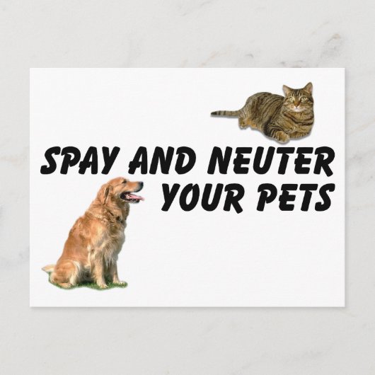 Spay en Neuter Briefkaart (Voorkant)
