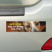 Spay en Neuter. Bumpersticker (Op auto)