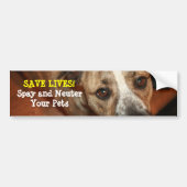 Spay en Neuter. Bumpersticker (Voorkant)