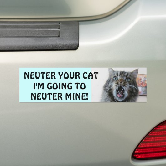 Spay en Neuter je kat. Schokte Kat Bumpersticker (Op auto)