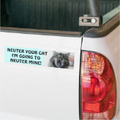 Spay en Neuter je kat. Schokte Kat Bumpersticker (Op Truck)