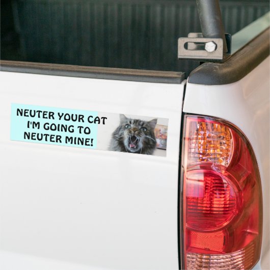 Spay en Neuter je kat. Schokte Kat Bumpersticker (Op Truck)