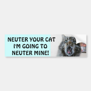 Spay en Neuter je kat. Schokte Kat Bumpersticker