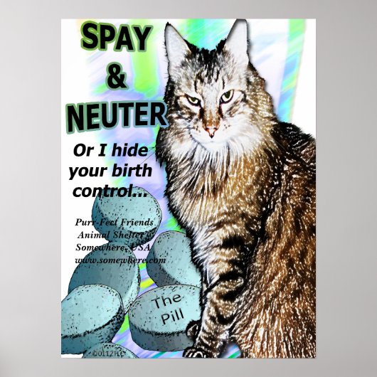 Spay en neuter (of ik verstop je geboortebeperking poster (Voorkant)