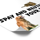 Spay en Neuter Poster (Hoek)