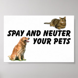 Spay en Neuter Poster