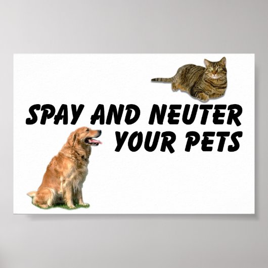 Spay en Neuter Poster (Voorkant)