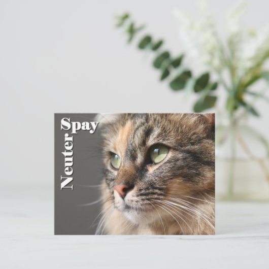 Spay/Neuter Briefkaart (Staand voorkant)