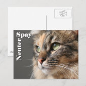 Spay/Neuter Briefkaart (Voorkant / Achterkant)
