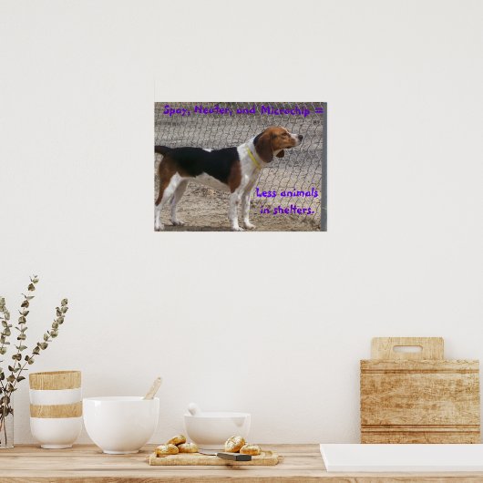 Spay, Neuter, Microchip Poster (Keuken)