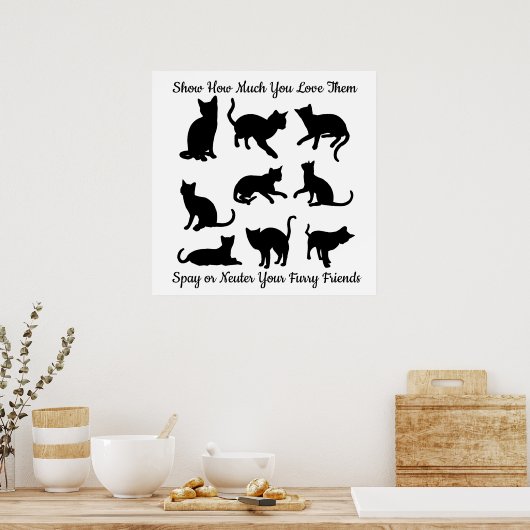 Spay of Neuter Poster (Keuken)