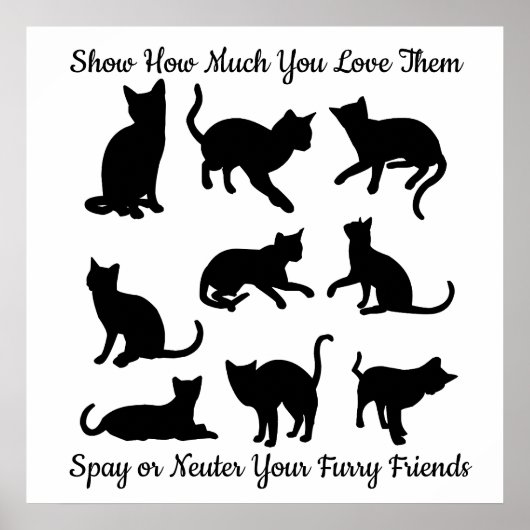 Spay of Neuter Poster (Voorkant)