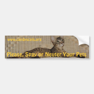 Spay of Neuter Uw Bumpersticker Gezelschapsdieren