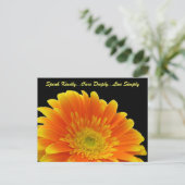 Speak Kindly Gerbera Briefkaart