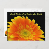Speak Kindly Gerbera Briefkaart
