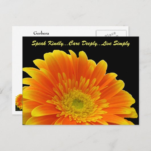 Speak Kindly Gerbera Briefkaart (Voorkant / Achterkant)