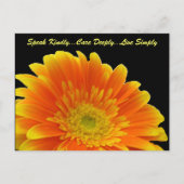 Speak Kindly Gerbera Briefkaart (Voorkant)