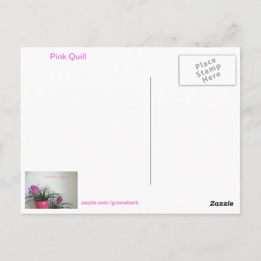 Speak Kindly Pink Quill Briefkaart (Achterkant)