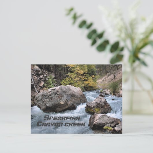 Spearfish Canyon Creek Briefkaart (Staand voorkant)