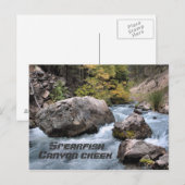 Spearfish Canyon Creek Briefkaart (Voorkant / Achterkant)