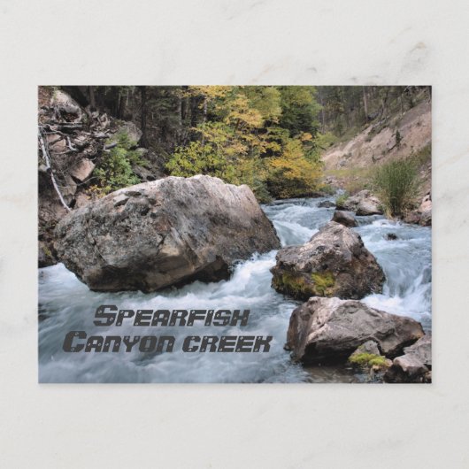 Spearfish Canyon Creek Briefkaart (Voorkant)