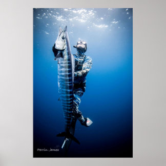 Spearfish wahoo poster