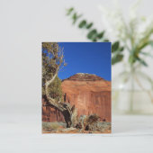 Spearhead Mesa in Monument Valley Briefkaart (Staand voorkant)