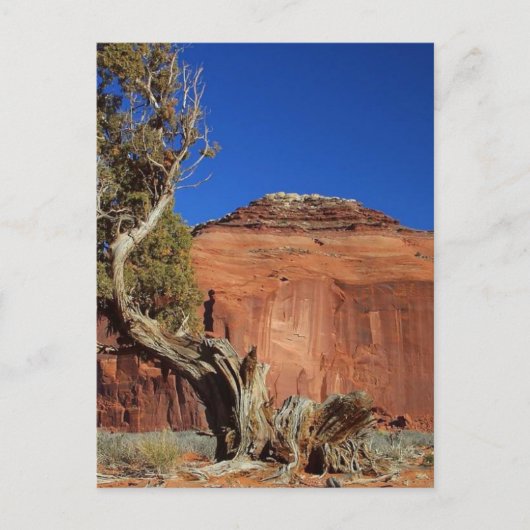 Spearhead Mesa in Monument Valley Briefkaart (Voorkant)
