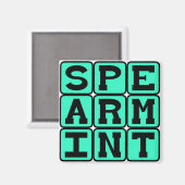 Spearmint, Smaak Kauwgom Magneet (Voorkant / Achterkant)