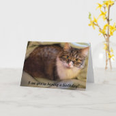 "Spec-tacular" Verjaardag Kaart (Gele Bloem)