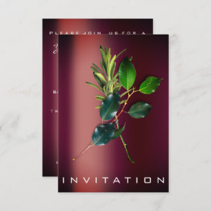 Specerijen Italiaans Chef Diner Duurzaamheid Groen Kaart