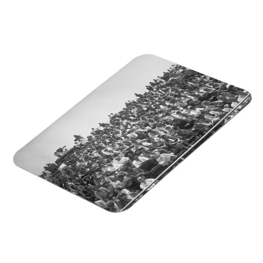 Specerijen Magneet (Linkerzijde)