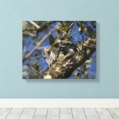 specht canvas afdruk (Insitu (Houten vloer))