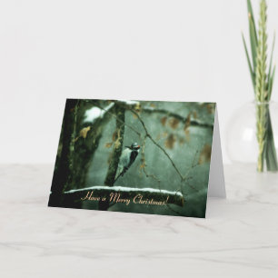 Specht in de Kerstkaart van de Sneeuw Feestdagen Kaart