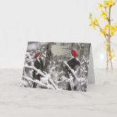 Specht in de winter kaart (Gele Bloem)