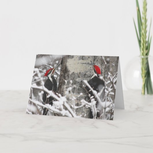 Specht in de winter kaart (Voorkant)